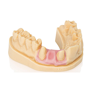 dima Print Gingiva Mask