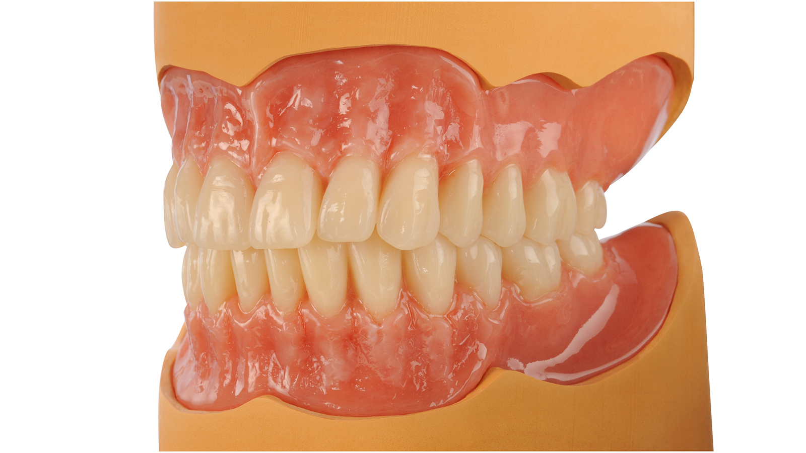 Carta Molde Dente Premium 